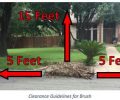 Round Rock residents have three ways to dispose of tree limbs